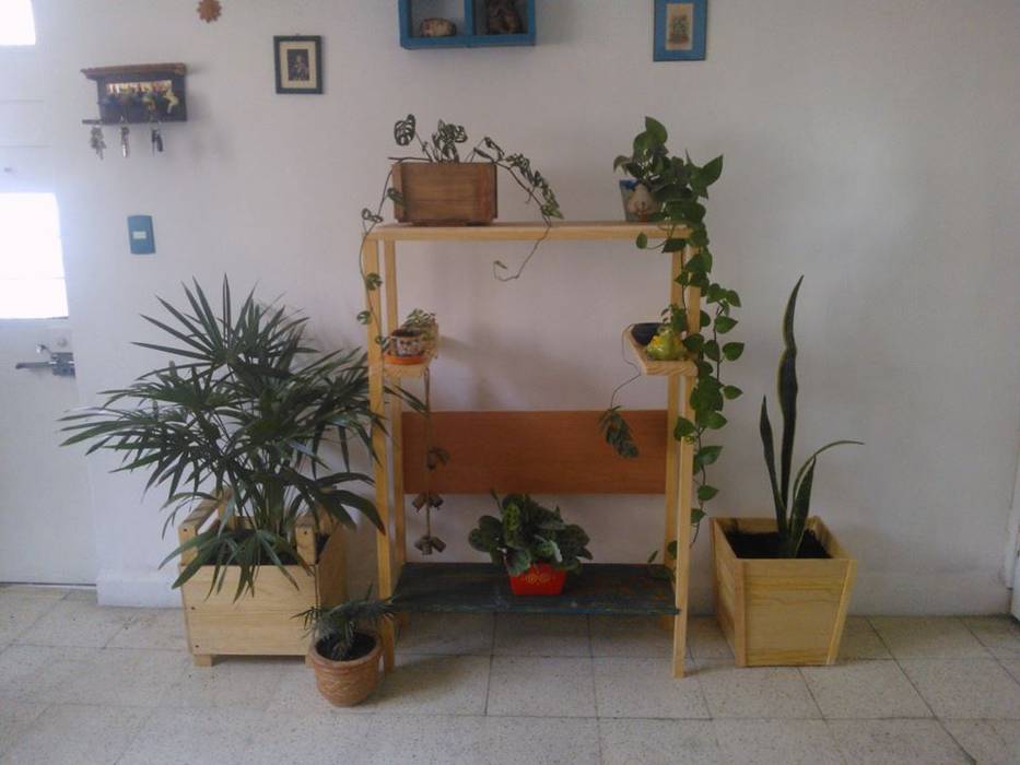 Mueble verde, Departamento Seis Departamento Seis Jardines de estilo ecléctico Madera Acabado en madera Plantas y accesorios