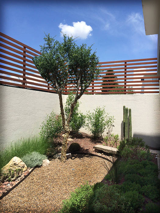 Jardín Nativo en el Campestre, Qro. Hábitas Jardines de piedra ​Palo xixote,copal,grava,nativas,plantas nativas,plantas amigables,organos,banca de piedra,roca,jardin sustentable,poco mantenimiento,serenidad