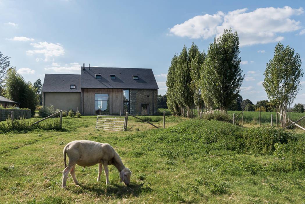 Façade ouverte sur la campagne Briand Renault Architectes Maisons rurales Plante,Ciel,Nuage,Fenêtre,Paysage naturel,Arbre,loger,Terrain,Immeuble,Animal de travail