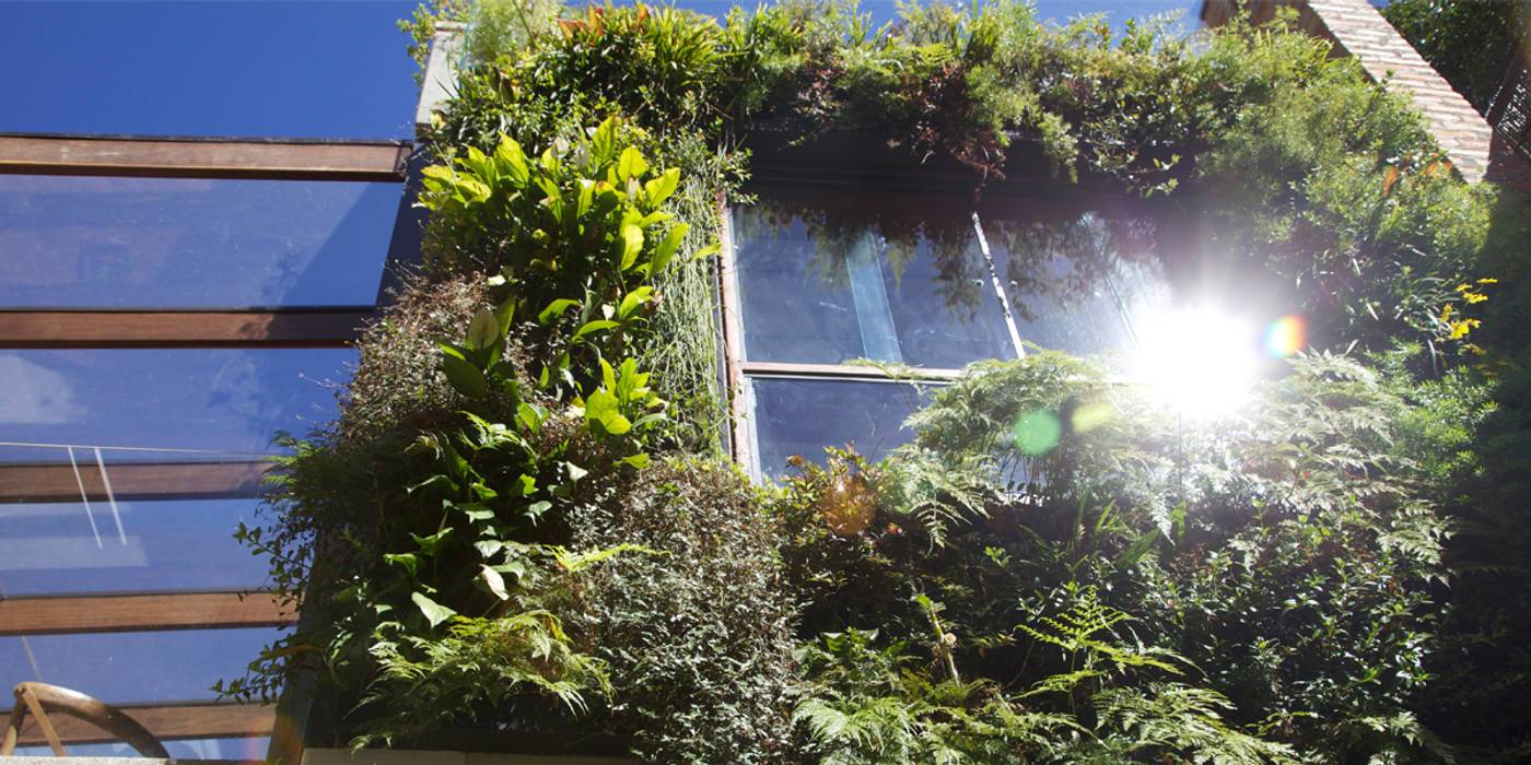 Jardim Vertical Ecoeficientes Paredes e pisos tropicais