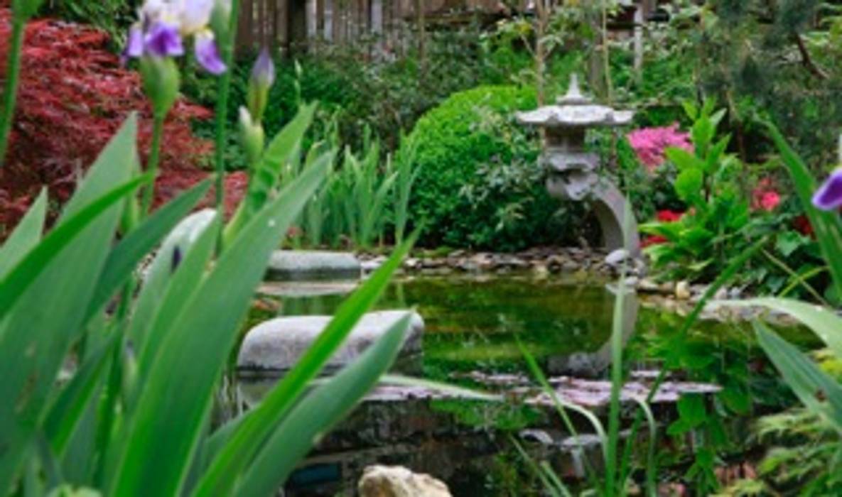 Zentuin, Bouwhuis en Tuin hoveniersbedrijf Bouwhuis en Tuin hoveniersbedrijf Asian style garden