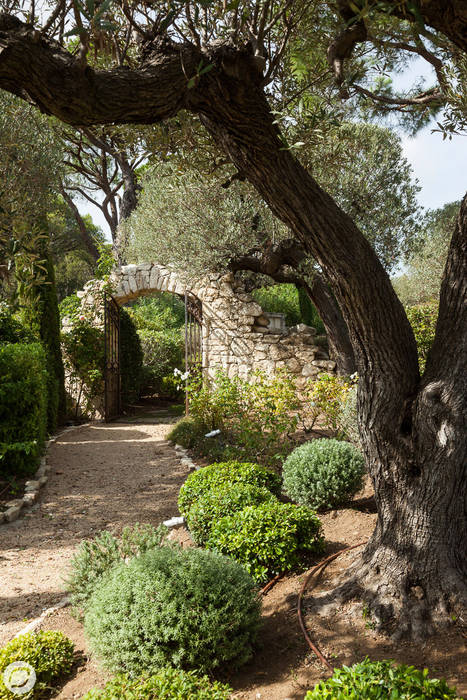 JARDIN - SAINT-TROPEZ, PASSAGE CITRON PASSAGE CITRON Jardin méditerranéen Plante,Communauté végétale,Paysage naturel,Arbre,Ombre,Gazon,Tronc,Bois,Arbuste,Paysage