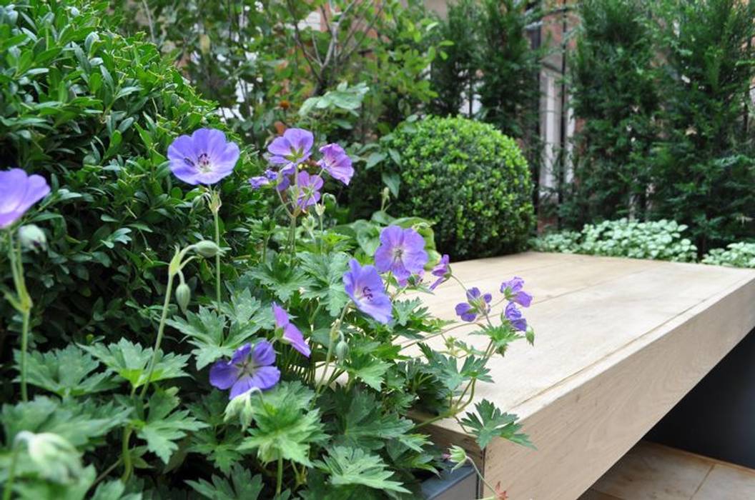 Knightsbridge Roof Terrace - Aralia Garden Design Aralia Commercial spaces Wood Wood effect roof terrace,rooftop garden,roof garden,garden design,landscape architecture,landscape architect,landscape design,garden designer,architecture,Commercial Spaces