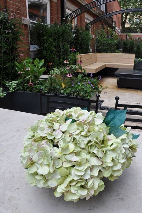 Knightsbridge Roof Terrace - Aralia Garden Design Aralia Espacios comerciales Hierro/Acero Espacios comerciales