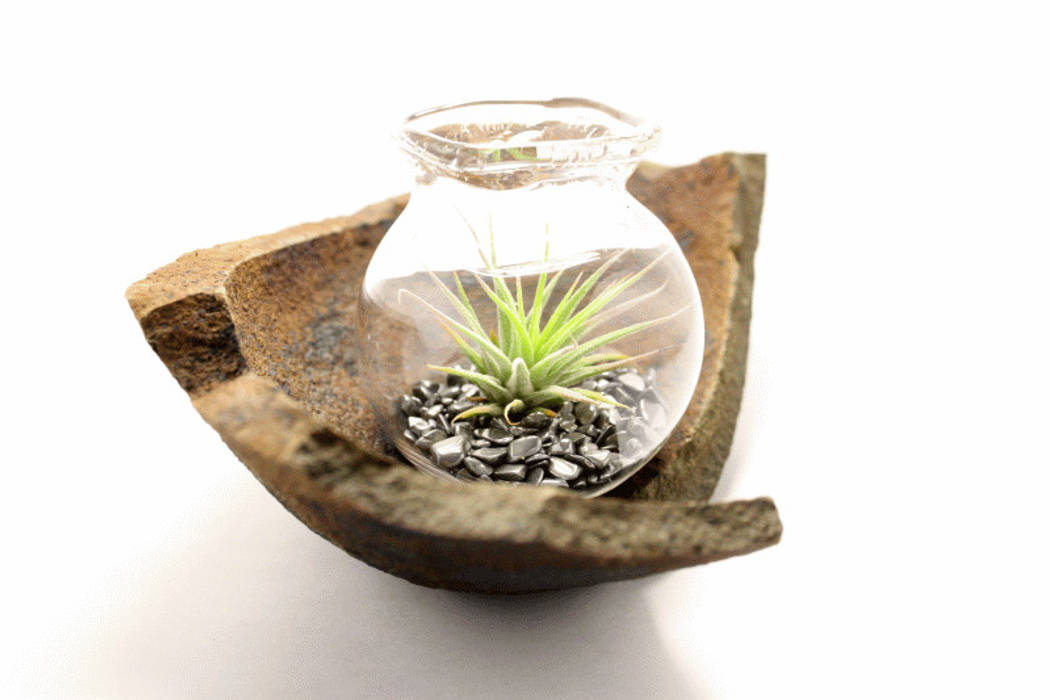 AIR PLANT Objekt mini Terrarium - kleiner Garten, KLAPPERGLAS KLAPPERGLAS Mais espaços Outras obras de arte