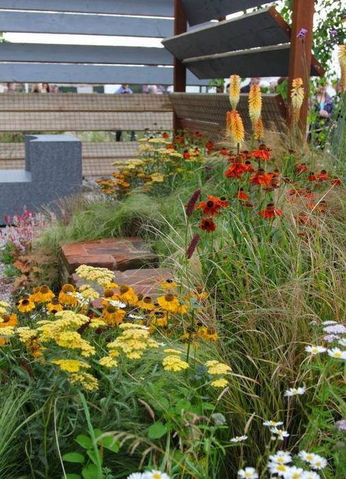 Brownfield Beauty - RHS Tatton Park 2012 Aralia 商業空間 木 木目調 コンベンション・センター