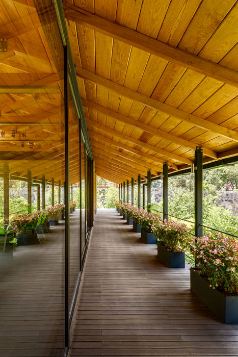 Laboratorio Botánico El Humedal, TAAR / TALLER DE ARQUITECTURA DE ALTO RENDIMIENTO TAAR / TALLER DE ARQUITECTURA DE ALTO RENDIMIENTO モダンスタイルの 玄関&廊下&階段