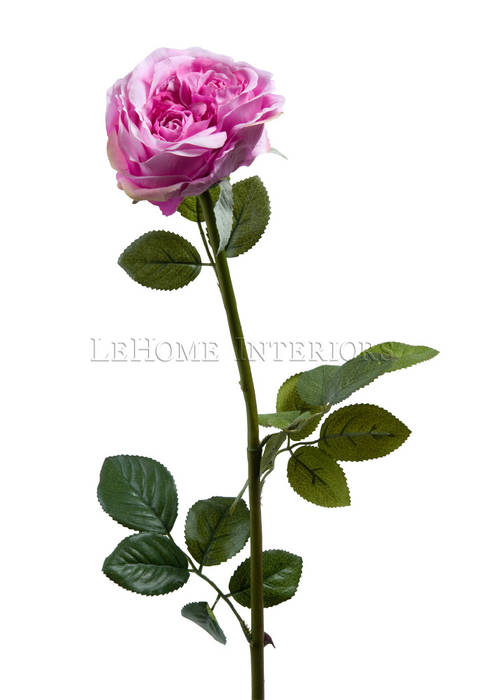 Цветок Роза V164 LeHome Interiors Гостиная в классическом стиле Аксессуары и декорации