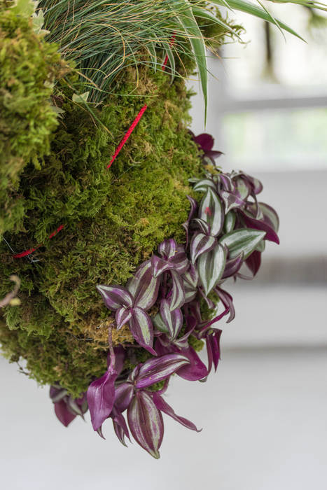 Nuage, Julie Martin Julie Martin Eclectic style garden Plant pots & vases