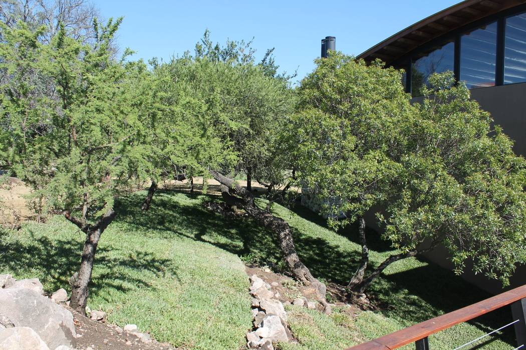 Vivienda Familiar en medio de las Sierras de Córdoba - Ejecución, MARIELA DURA ARQUITECTURA PAISAJISTA MARIELA DURA ARQUITECTURA PAISAJISTA Rustic style garden