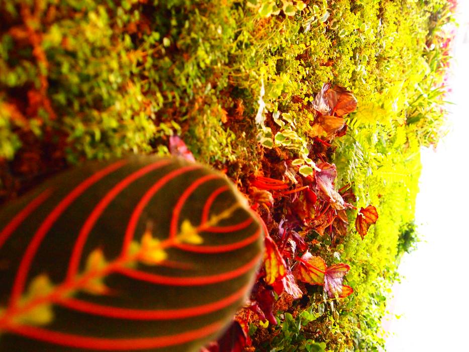 Jardin vertical. Detalle arquigreen Espacios comerciales Bares y discotecas