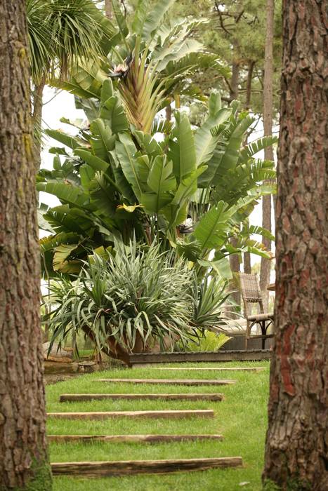 COISAS DA TERRA Jardines eclécticos