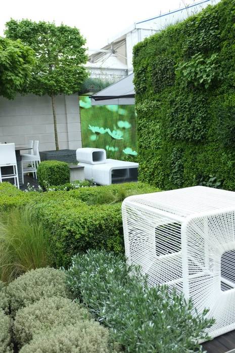 Chelsea Flower Show 2012 : The Rootop Workplace of Tomorrow Aralia Commercial spaces Bamboo Green Commercial Spaces
