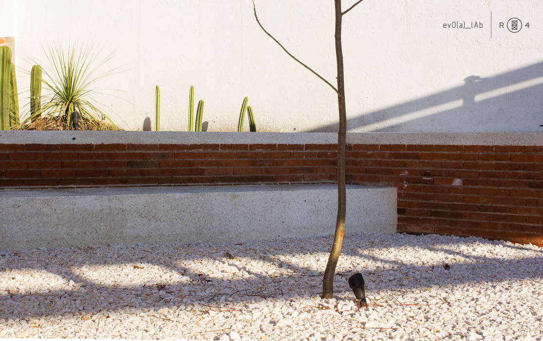 Banca Región 4 Arquitectura Jardines minimalistas Mobiliario