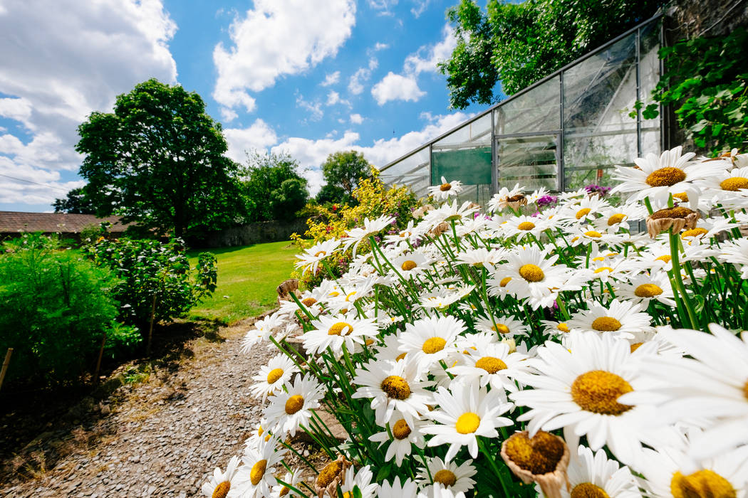 The Downes homify Jardines de estilo rural