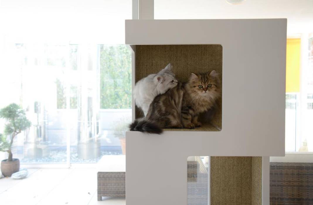 Katzentürme, stylecats® stylecats® Autres espaces Accessoires pour animaux