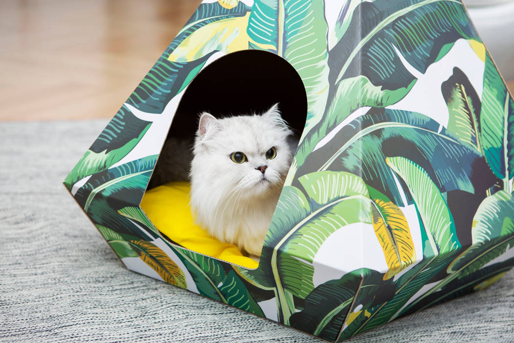 Huts and bay , HUTS & BAY HUTS & BAY Other spaces Pet accessories