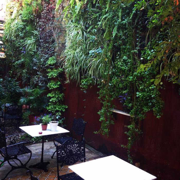 Interior de estudio, jardines verticales jardines verticales 庭院 植物與花