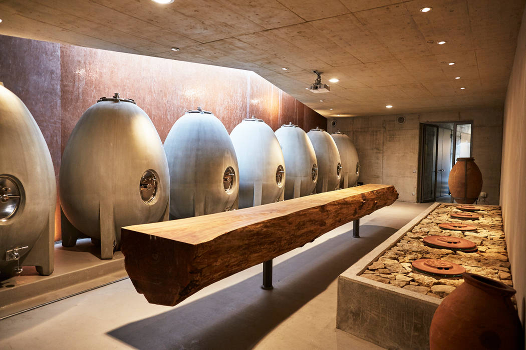 Weingut Am Stein Erweiterung Weinkeller, Hofmann Keicher Ring Architekten Hofmann Keicher Ring Architekten Bodegas de vino de estilo moderno