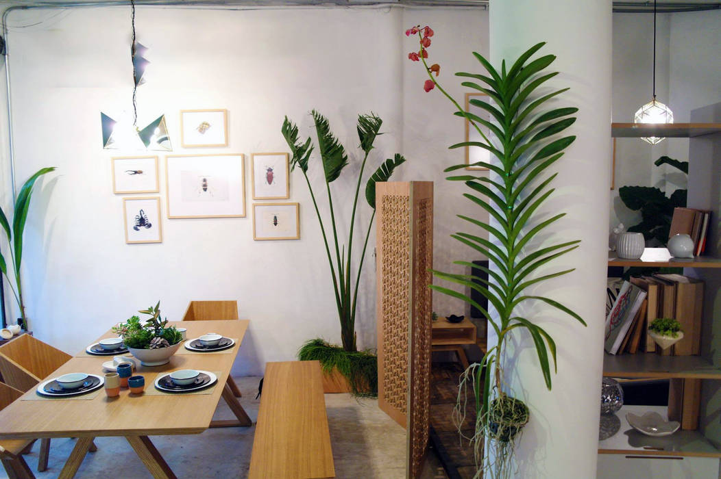 INTERIOR SHOWROOM, Clorofilia Clorofilia トロピカルデザインの リビング 合板（ベニヤ板）