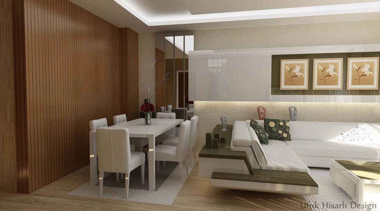 MISCELLANEOUS HOME PROJECT, HİSARİ DESIGN STUDIO HİSARİ DESIGN STUDIO Modern Living Room