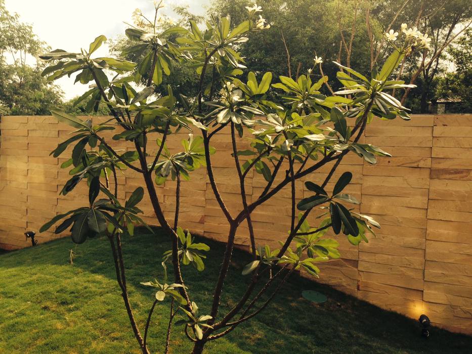 Stone Wall in the Ornamental Court studio XS Modern garden