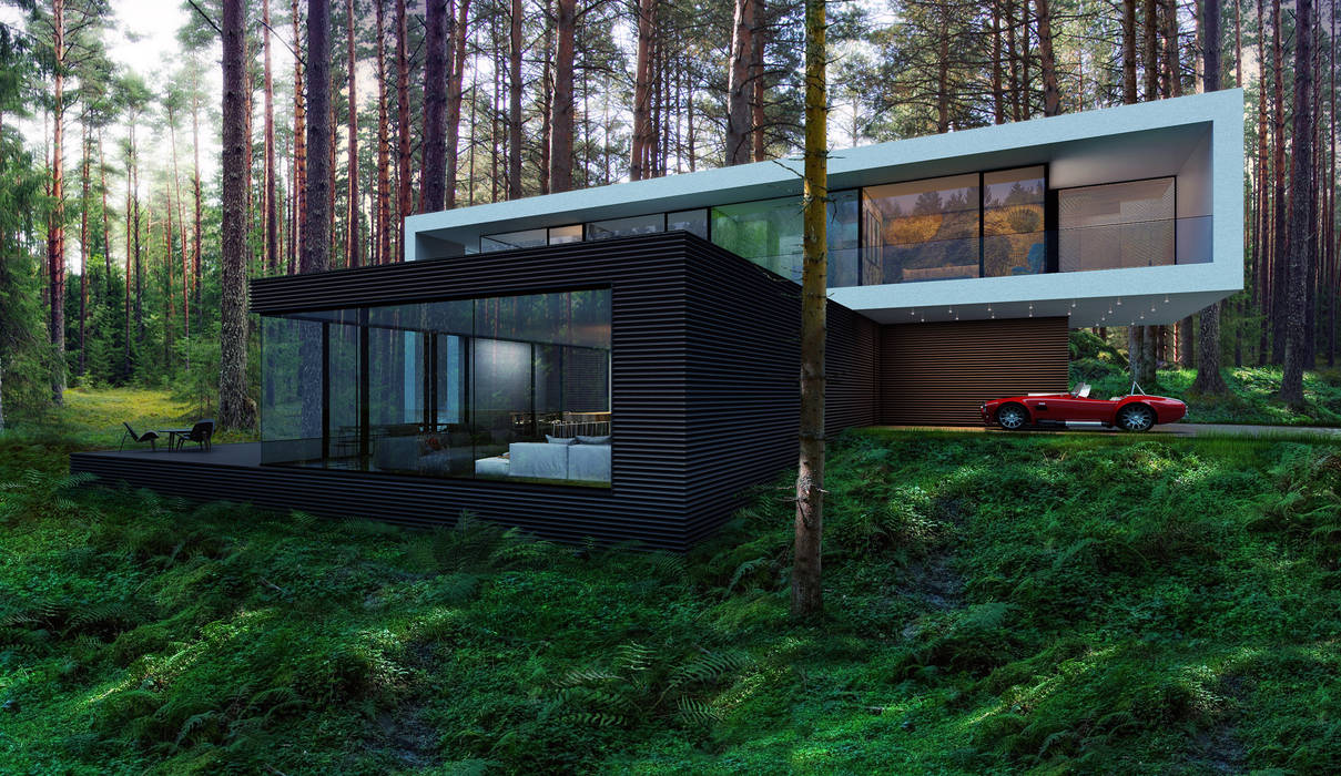 Дом под Киевом, ALEXANDER ZHIDKOV ARCHITECT ALEXANDER ZHIDKOV ARCHITECT Minimalist house