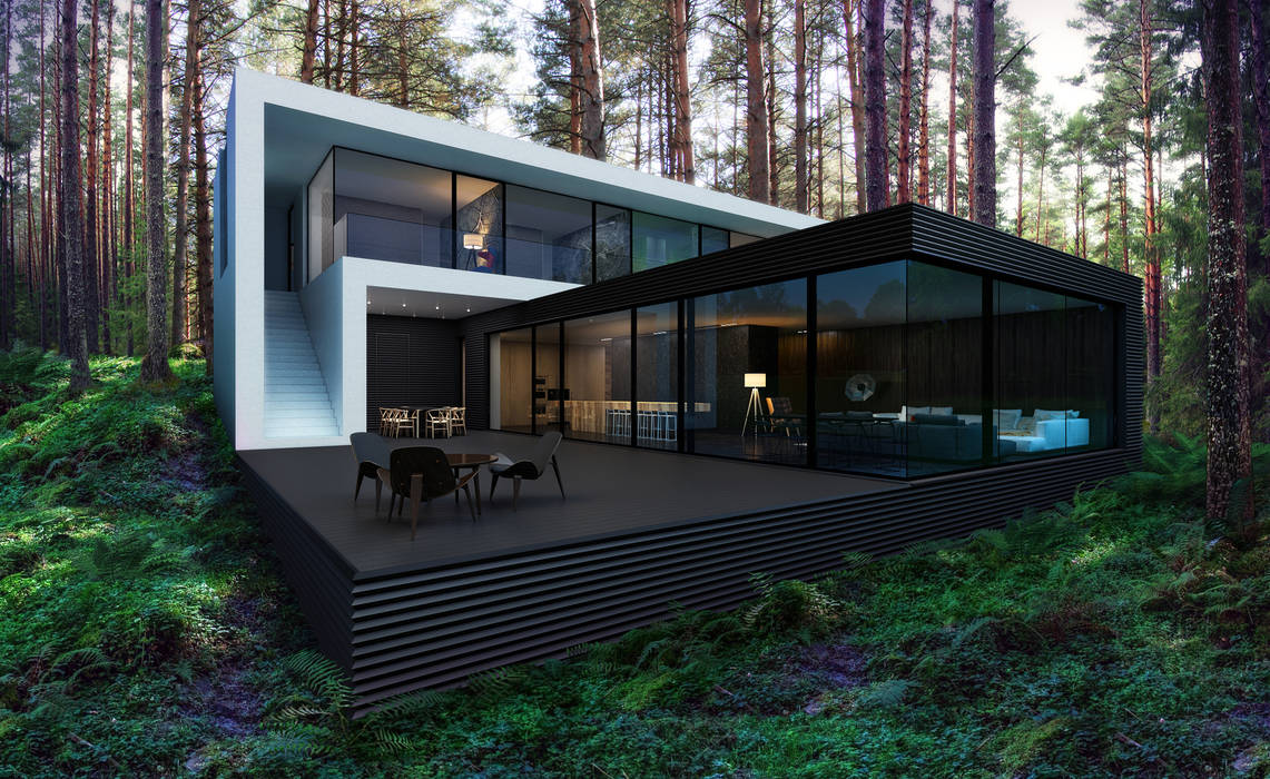 Дом под Киевом, ALEXANDER ZHIDKOV ARCHITECT ALEXANDER ZHIDKOV ARCHITECT Minimalist house