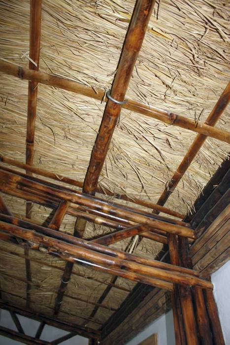 Bamboo Canopy, Errol Reubens Associates Errol Reubens Associates Modern walls & floors