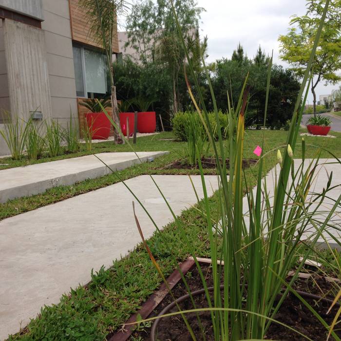 MODERN RED, BAIRES GREEN BAIRES GREEN Giardino moderno