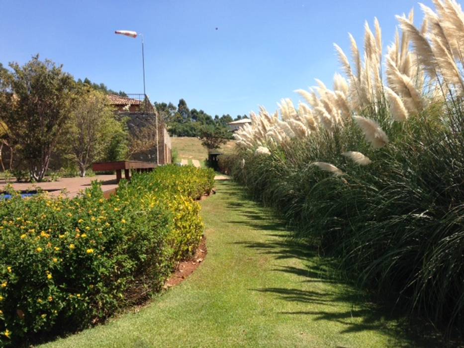 Modern style gardens by Marcia Joly Paisagismo Modern