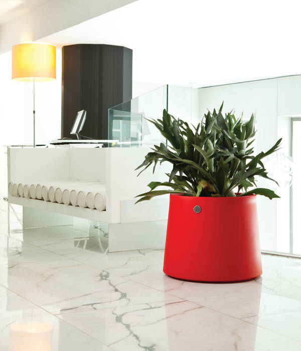 NOVO Collection by Hobby Flower Hobby Flower Jardines de estilo moderno Decoración,versátil,plantas de interior,oficina,elegante,maceta,jardinera,hidrojardinera,Plantas y accesorios