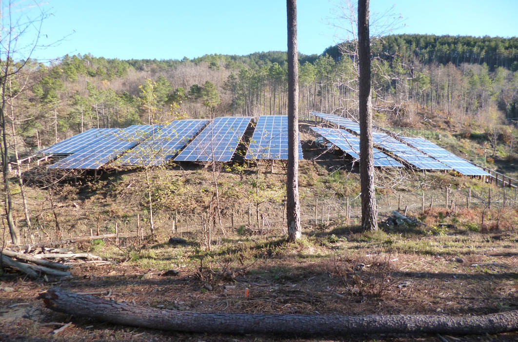 FOTOVOLTAICO ORGANICO, Studio rinnovabili Studio rinnovabili