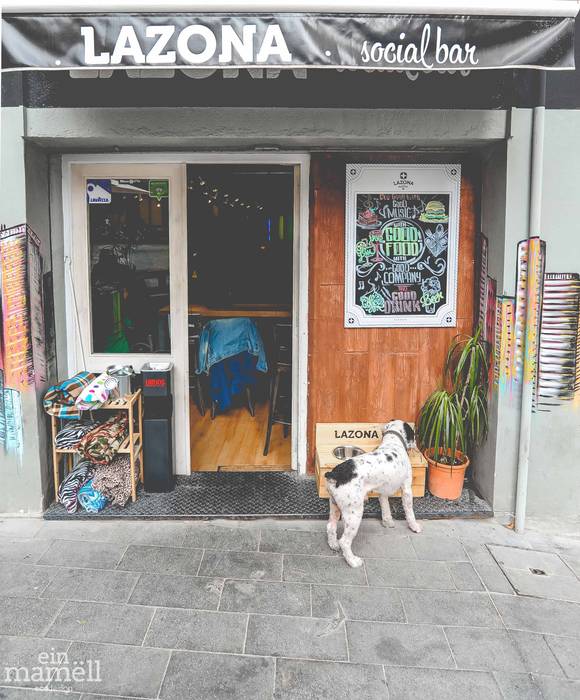 Una Doggie Bar en madera de palets que cuida la salud de tu mascota, Ein Mamëll Ein Mamëll Otros espacios Madera Acabado en madera Accesorios para los animales