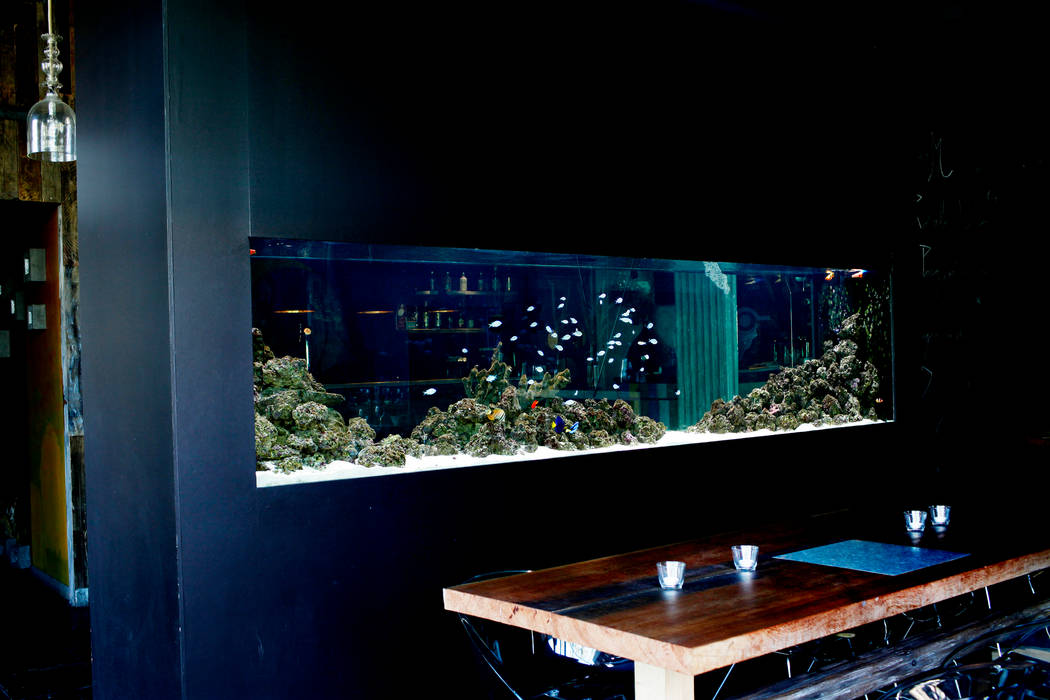 ADn saltwater aquarium at restaurant Lazuli - Estórias do Mar ADn Aquarium Design Espaços comerciais Espaços de restauração