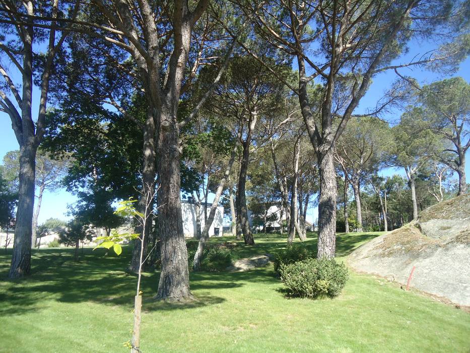 Maciços arbustivos e herbáceos. Jardins minimalistas por RAQUEL FRIAS - ARQUITECTURA PAISAGISTA Minimalista