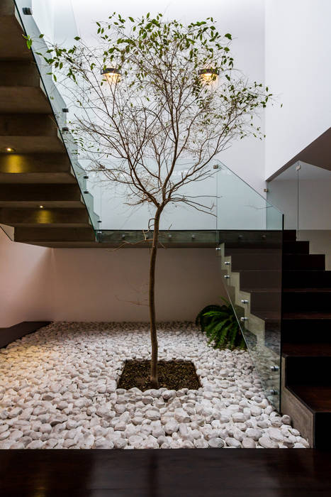 Arbol pasillos, vestíbulos y escaleras modernos de aaestudio moderno