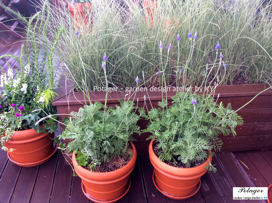 성수동 사무실 베란다 정원 디자인 및 시공 [Office Balcony Garden], Potager Potager クラシックデザインの テラス