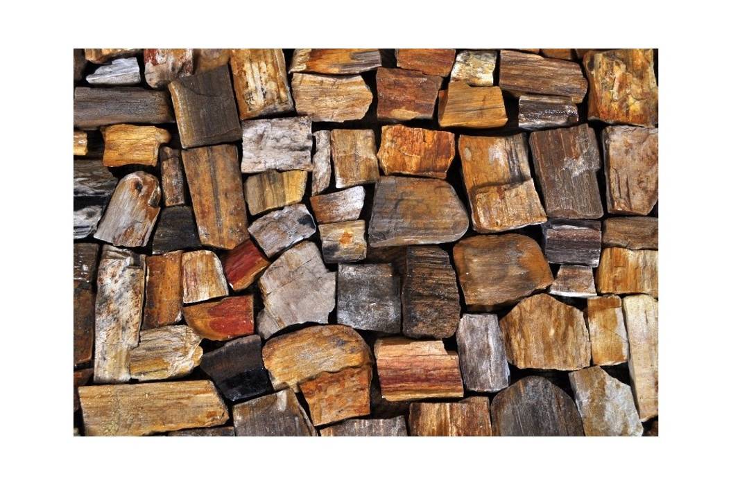 Umywalki kamienne i mozaika Fossil Wood, Industone.pl Industone.pl Eklektyczne ściany i podłogi Dekoracje ścienne