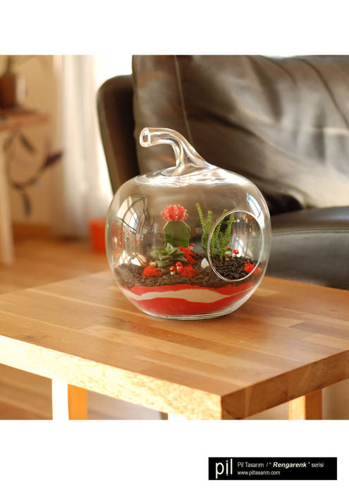 Terrarium Pil Tasarım Mimarlik + Peyzaj Mimarligi + Ic Mimarlik غرفة الاطفال زجاج Accessories & decoration