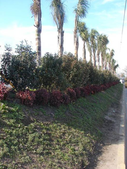 DISEÑO DE URBANIZACION PARA UN ESPACIO PUBLICO, CubiK CubiK Jardins modernos Derivados de madeira Transparente