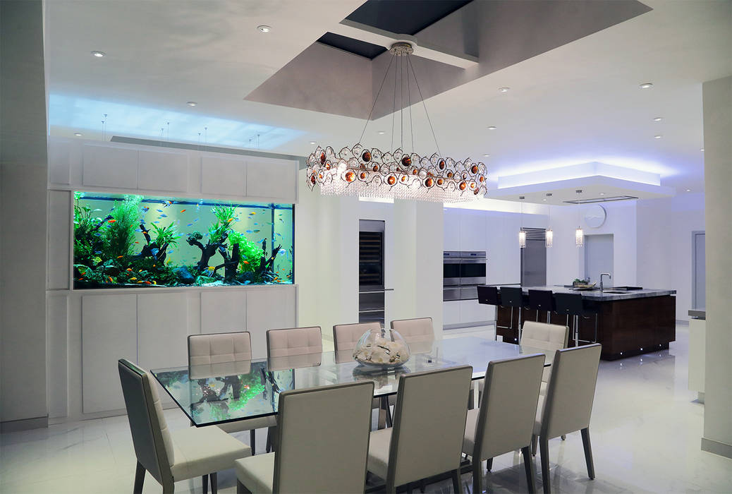 Contemporary Family Home, Aquarium Architecture Aquarium Architecture Modern dining room