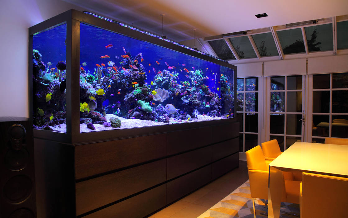 Luxury Townhouse Aquarium Moderne Esszimmer Von Aquarium