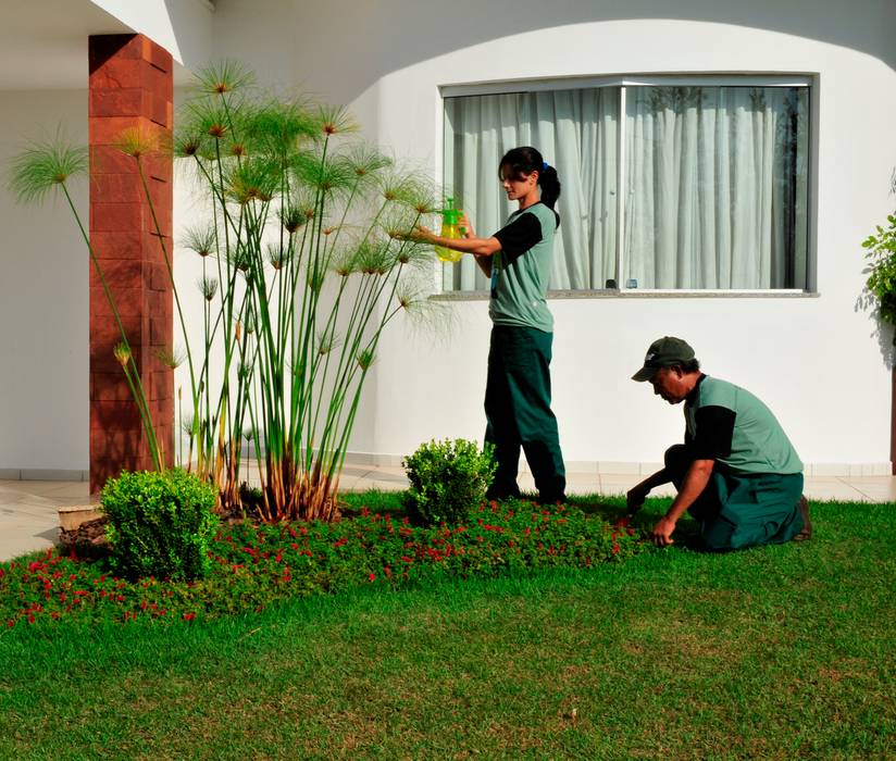 Manutenção e nutrição de jardim residencial, Ecojardim Ecojardim Tropical style garden Plants & flowers