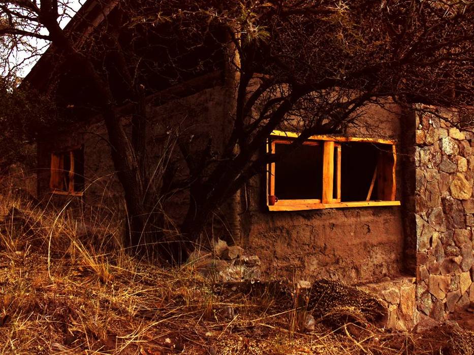 CASA DE LA COLINA, bioma arquitectos asociados bioma arquitectos asociados Pintu & Jendela Gaya Country Kayu Wood effect