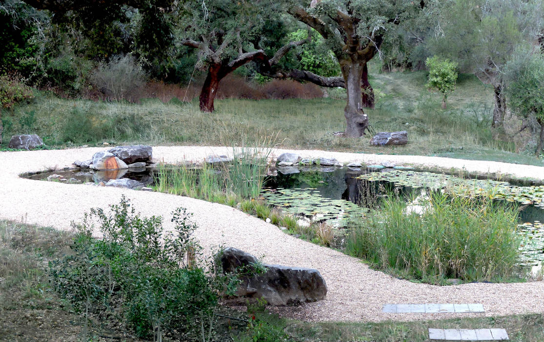 Jardim com piscina natural, Atelier Jardins do Sul Atelier Jardins do Sul Jardins ecléticos