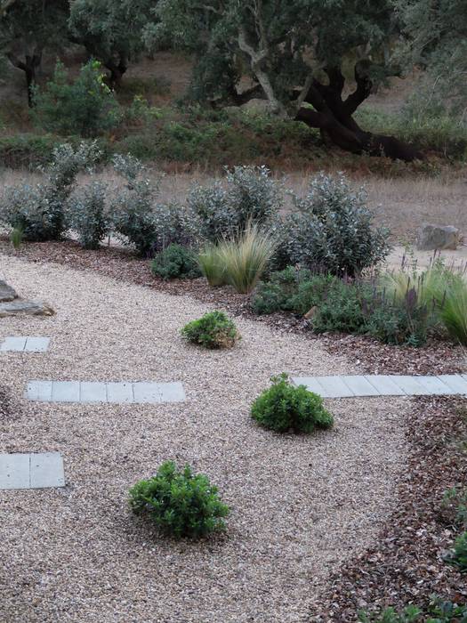 Garden with natural swimming pool, Atelier Jardins do Sul Atelier Jardins do Sul สวน