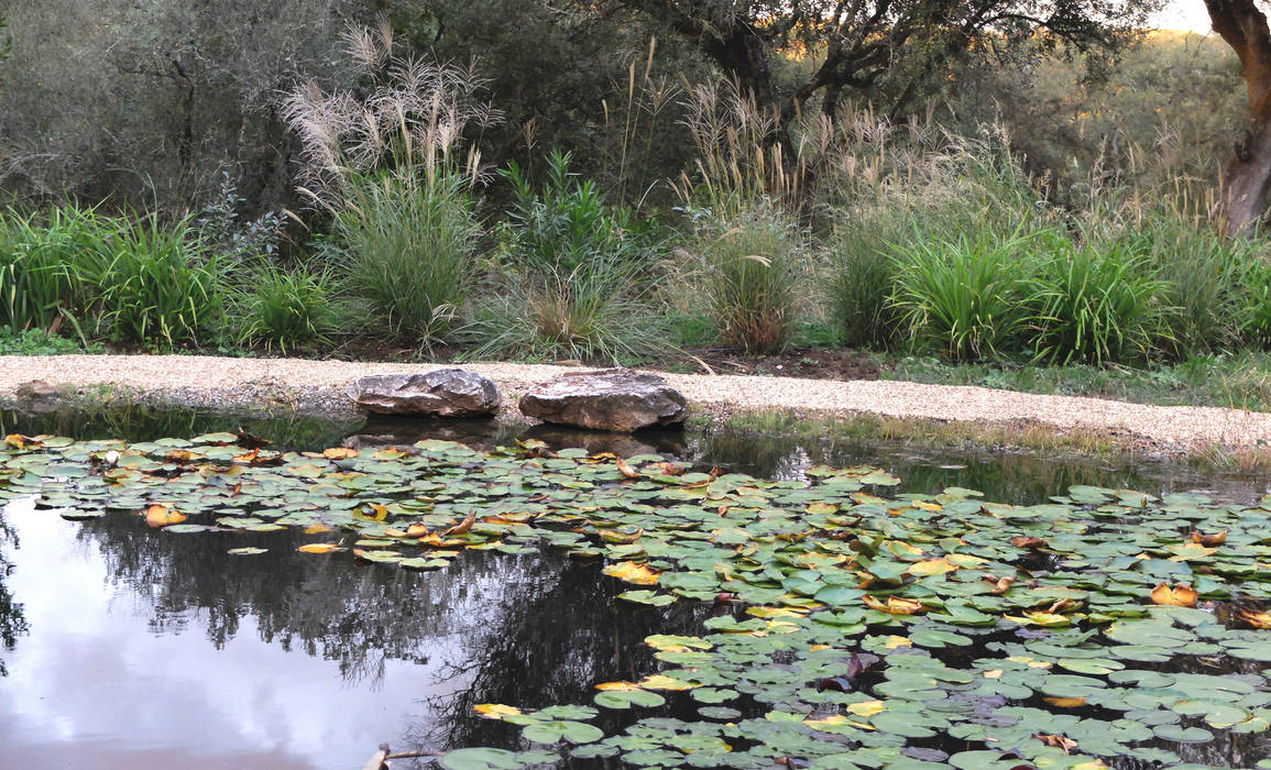 Garden with natural swimming pool, Atelier Jardins do Sul Atelier Jardins do Sul สวน