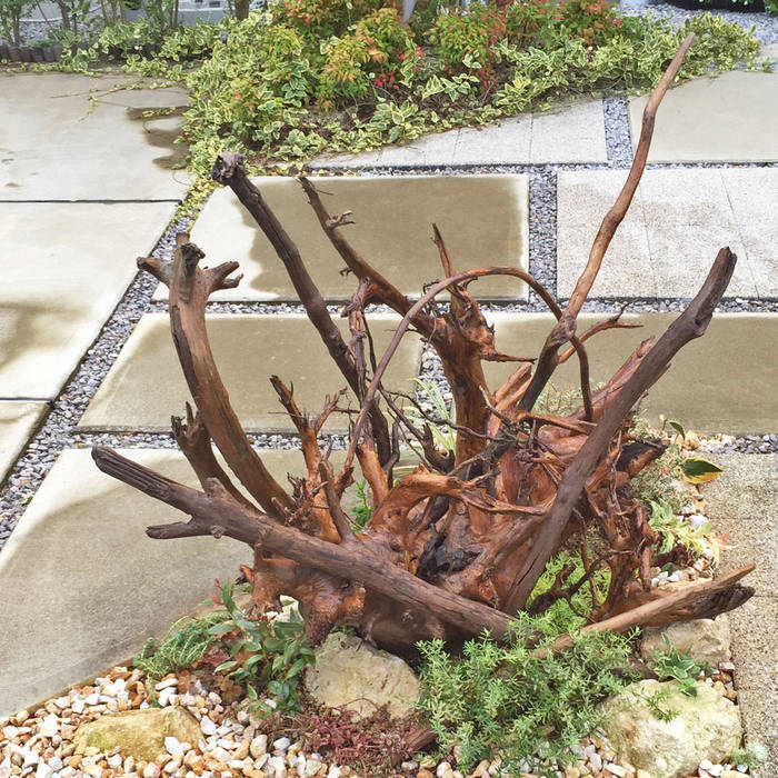 ダイナミックに流木を使った目を引くオブジェ的な植栽 匠ガーデン モダンな庭 木 Homify ダイナミックに流木を使った目を引くオブジェ的な植栽 匠ガーデン モダンな庭 木 Homify