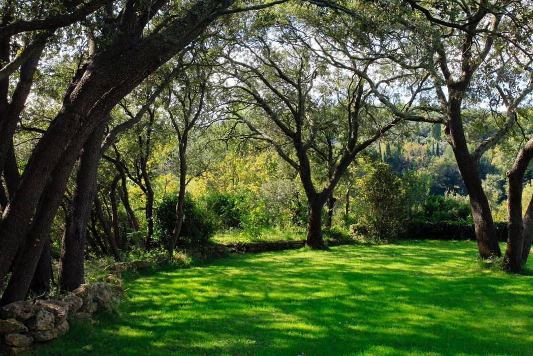 //SALON DE PROVENCE//Jardin minimaliste, CONCEPTUELLES PAYSAGE ET DECORATION CONCEPTUELLES PAYSAGE ET DECORATION Jardines de estilo minimalista